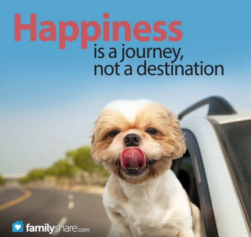 Happiness is a journey, not a destination. If you are not enjoying the  journey, you probably won't enjoy…