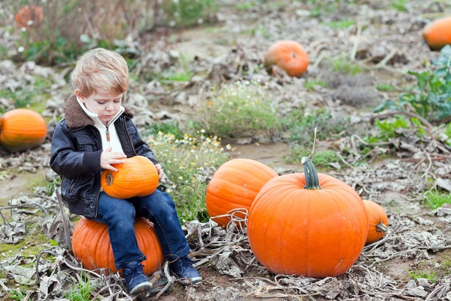 How To Help Kids Who Are Afraid Of Halloween - FamilyToday