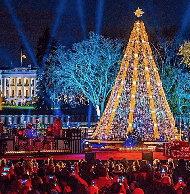 6 festive Christmas cities - FamilyToday